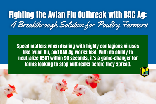 Fighting the Avian Flu Outbreak with BAC Ag: A Breakthrough Solution for Poultry Farmers