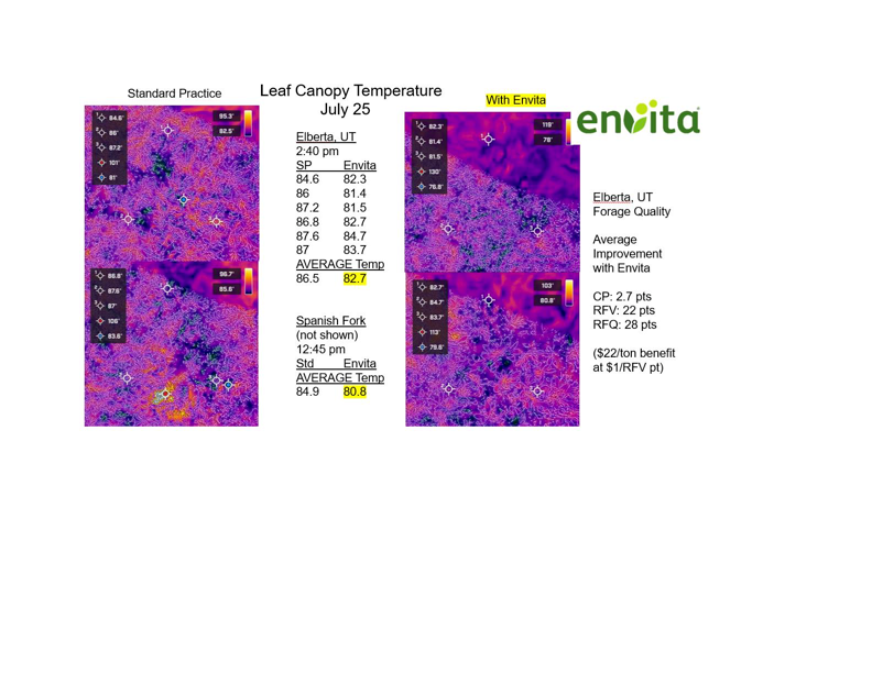 Envita