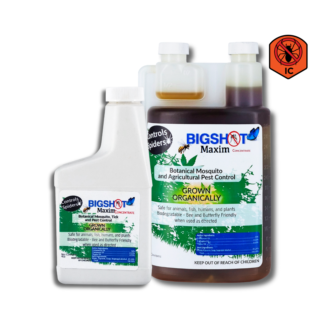 Bigshot Maxim (Safe. Effective. Insect Control)