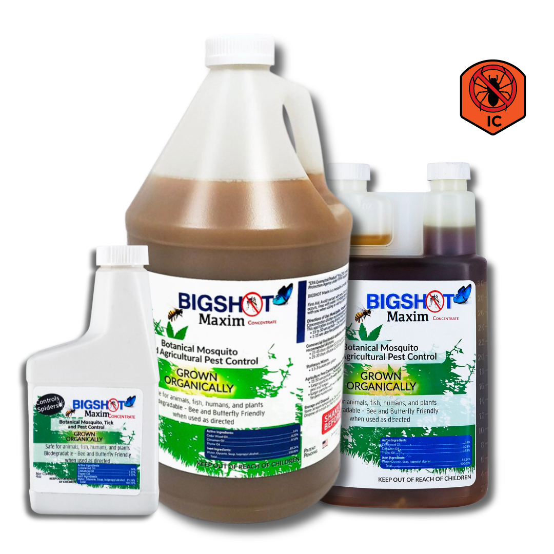 Bigshot Maxim (Safe. Effective. Insect Control)