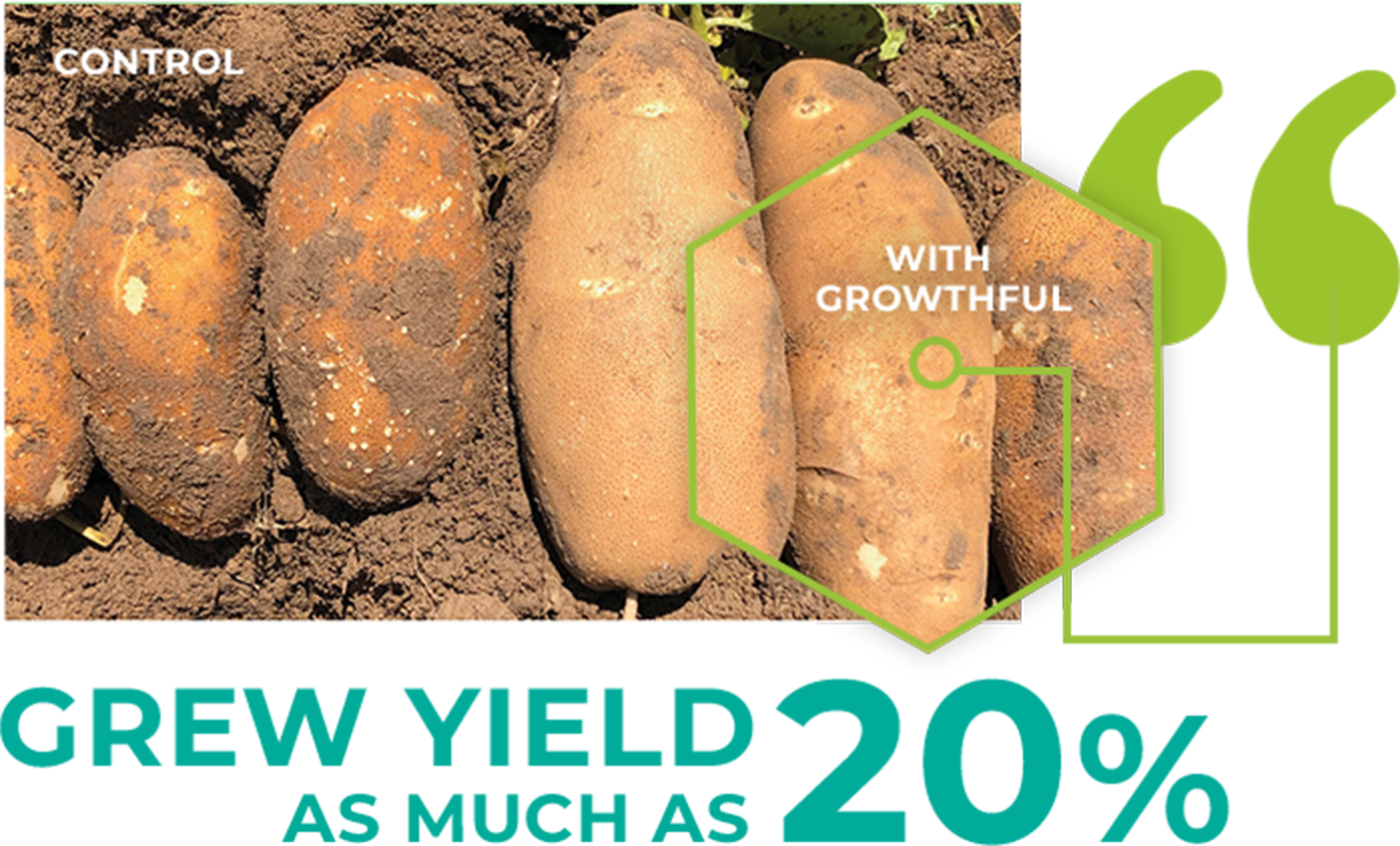 Growthful™
