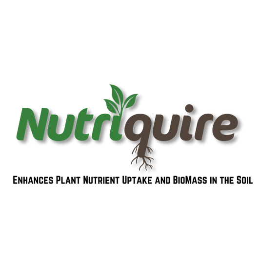 Nutriquire