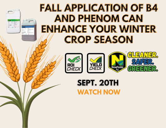 Enhance your winter crops with B4 and Phenom
