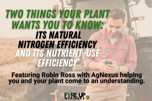 Nitrogen Efficiency and Nutrient Use Efficiency in your Plant