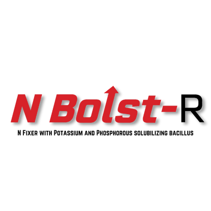 N Bolst-R™ (Nitrogen Fixer in the Planter Box)