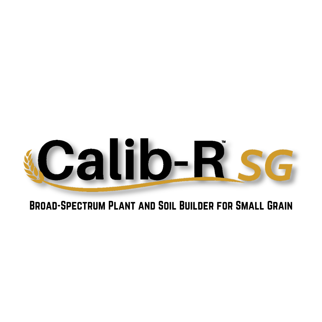 Calib-R Small Grain