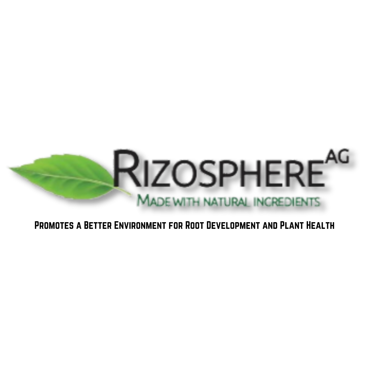 Rizosphere