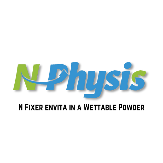 N-Physis