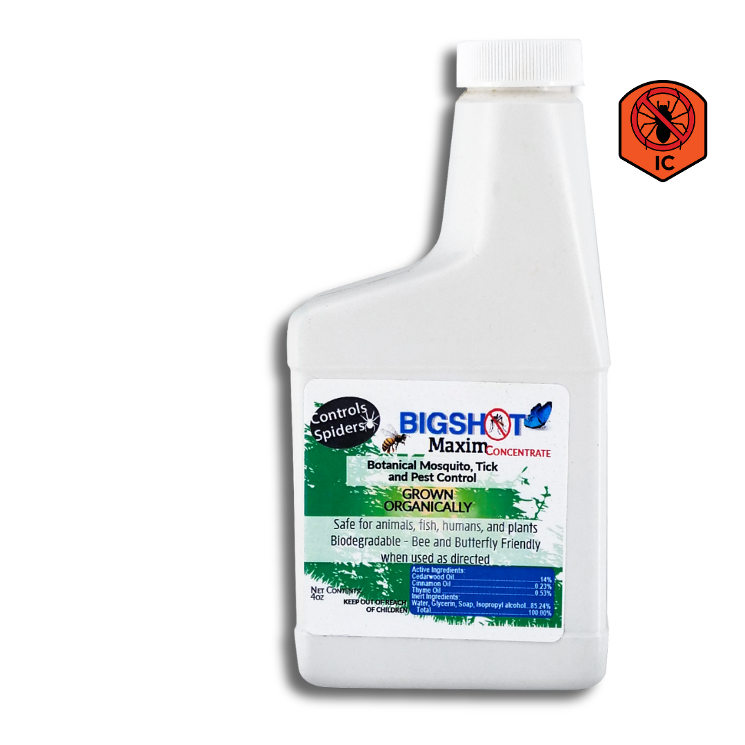 Bigshot Maxim (Safe. Effective. Insect Control)
