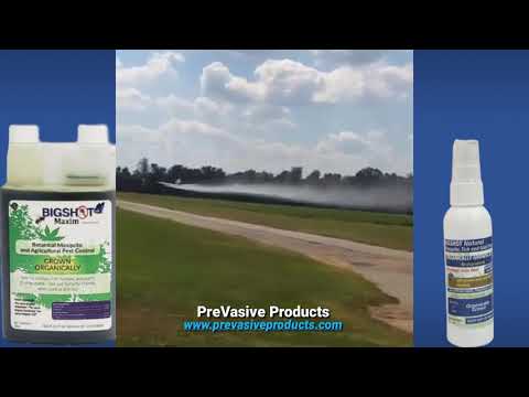 Bigshot Maxim (Effective. Insect Control.) – NewFields Ag