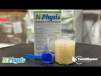 N-Physis